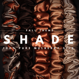 Fall Feel Shade Ultra - Skinny Silk Scrunchies (Set of 5) - NOCHKA