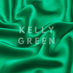 Kelly Green Ultra Skinny Scrunchie – 100% Pure Mulberry Silk, Perfect for All Hair Types - NOCHKA
