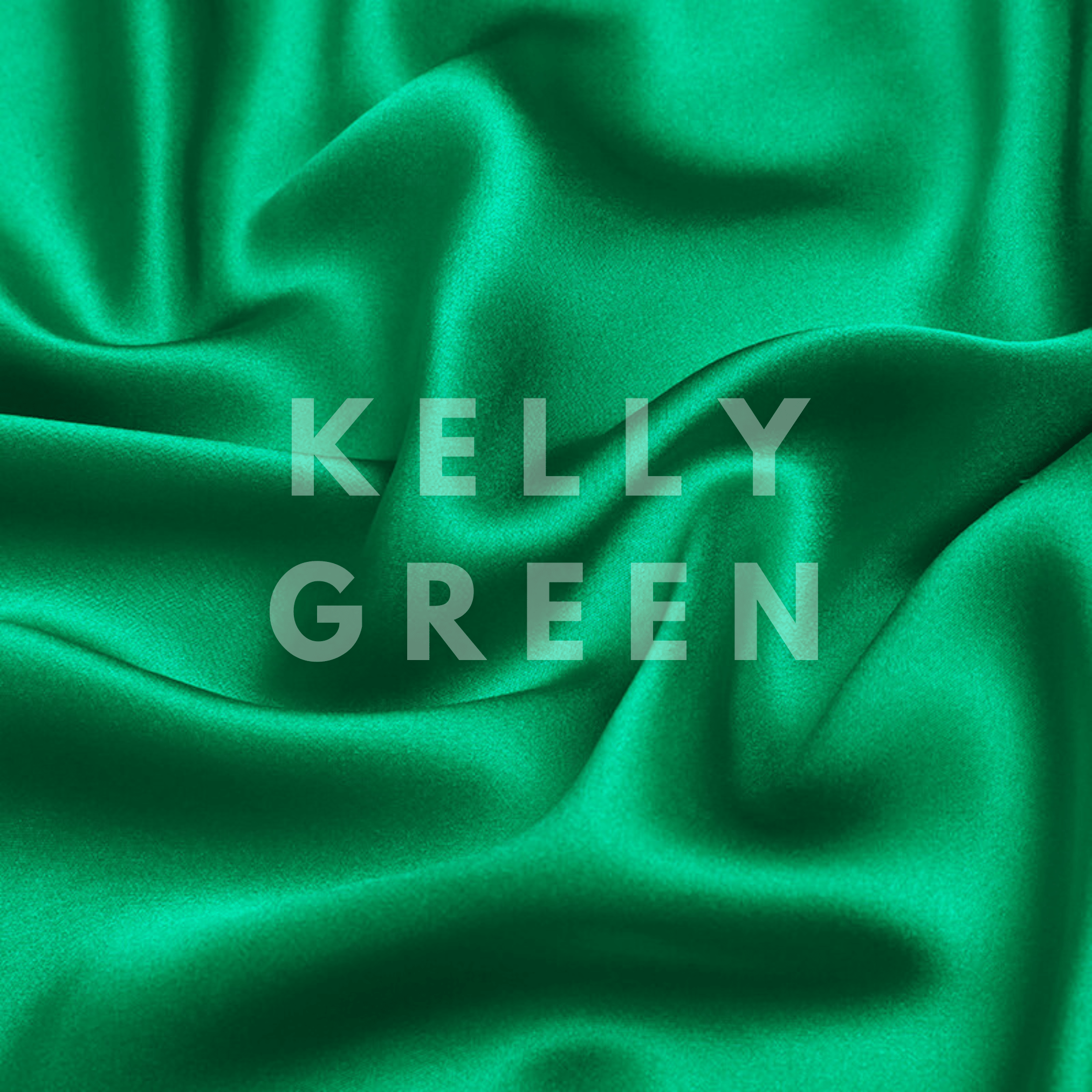 Kelly Green Ultra Skinny Scrunchie – 100% Pure Mulberry Silk, Perfect for All Hair Types - NOCHKA
