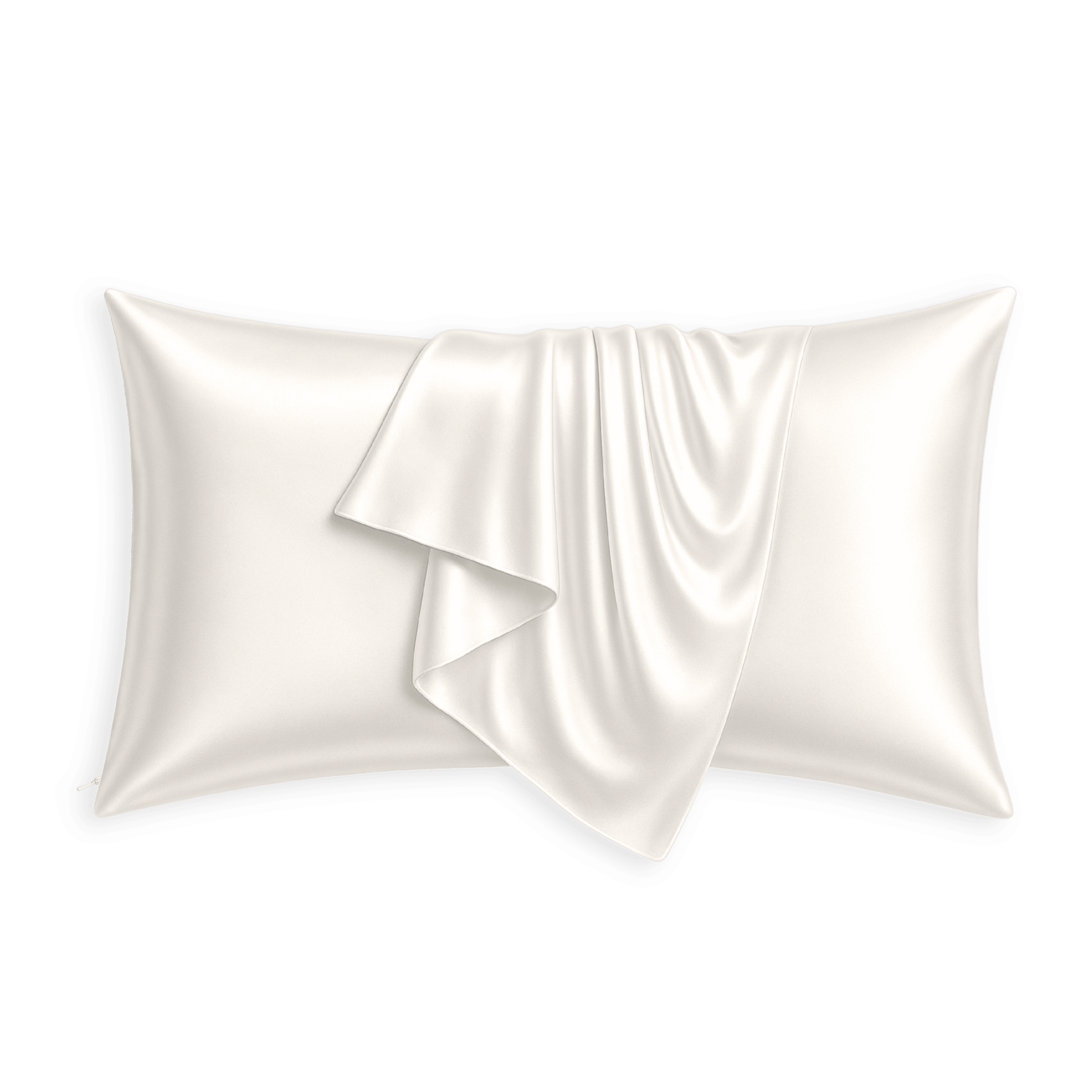 RAW (Undyed) 100% Pure Mulberry Silk Pillowcase 30 MOMME - Zipper - NOCHKA